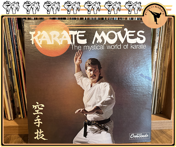 real karate moves