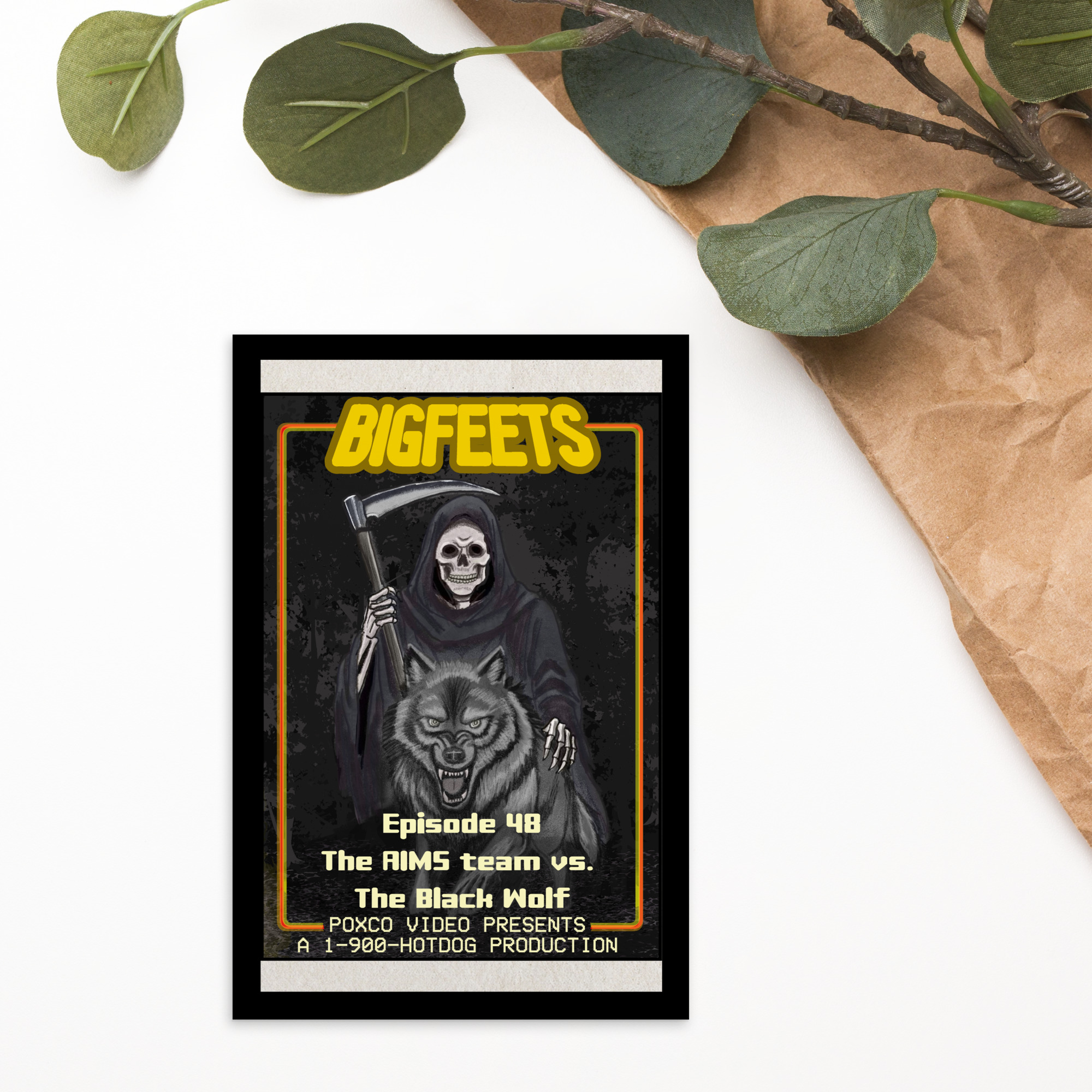 BIGFEETS Episode 48 - The AIMS team vs. The Black Wolf